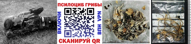 Галлюциногенные грибы Magic Shrooms  Купить закладки  Ясный 